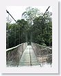 SelvaVerde - 043 * Suspension bridge over the Rio Sarapiqui * Suspension bridge over the Rio Sarapiqui